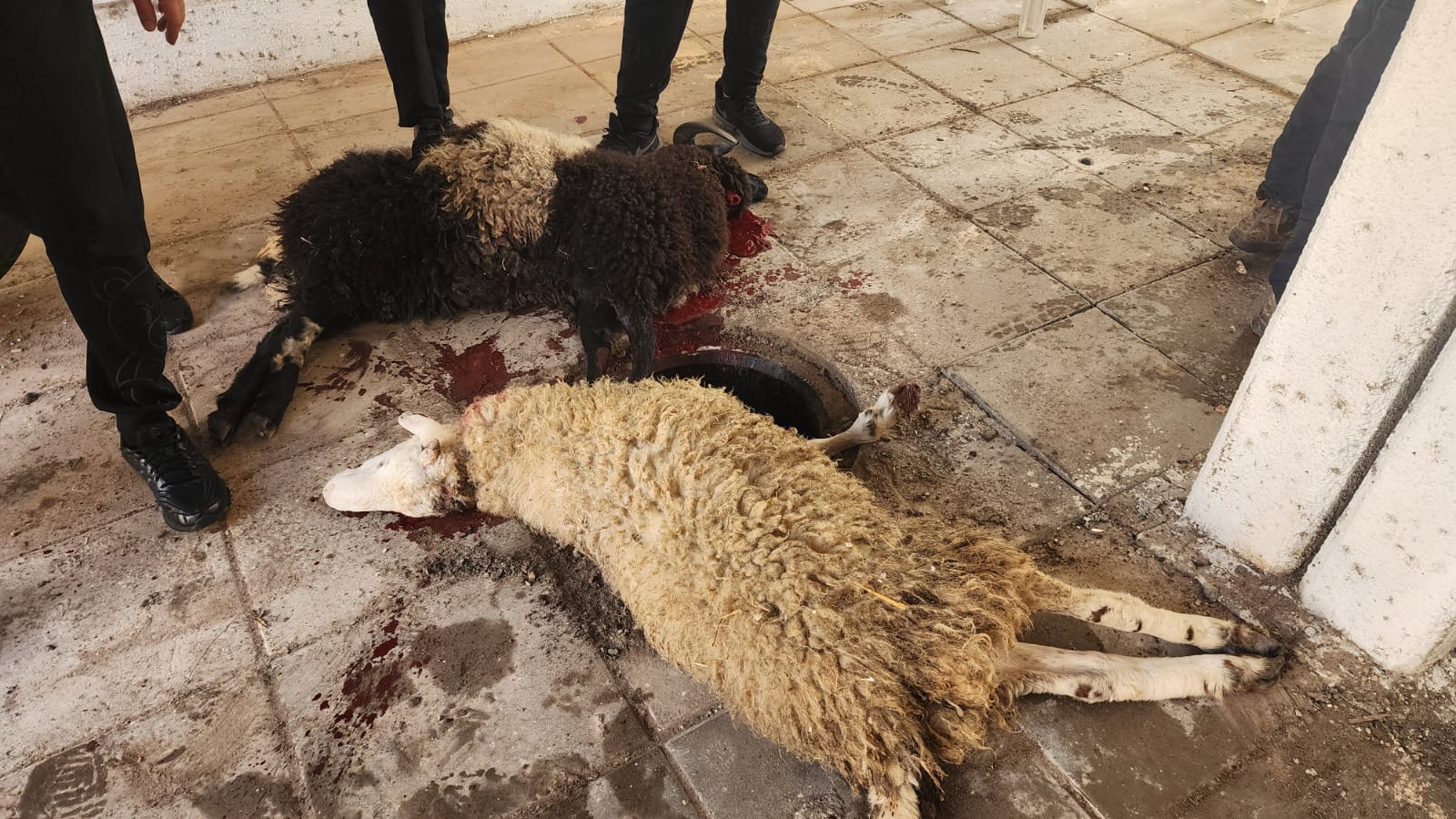 WhatsApp Image 2022-12-14 at 12.06.30 PM (1).jpeg